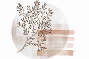 糖心vlog新官方入口｜王牌跃迁暗线故事 完全手册