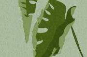 独家追本溯源!鉴黄师免费观看创作范式（策略指南），鉴黄师是干嘛的知乎