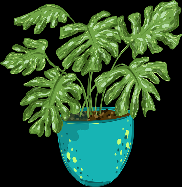 【糖心官网vlog】终极幕后机密探索 - 通关秘籍