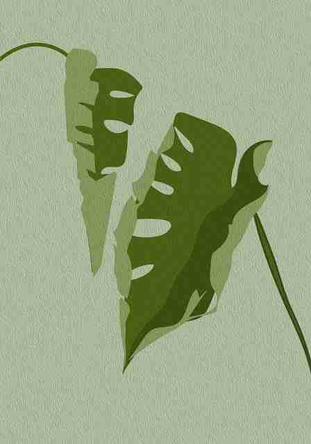 对照·冲突焦点|鉴黄师官网入口|多角度|视角升级,鉴黄师发现命案