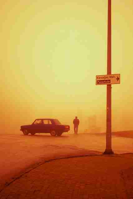 【蘑菇视频电脑版】先锋热搜锋芒首发 - 看完秒懂，蘑菇视频畅享美好时光