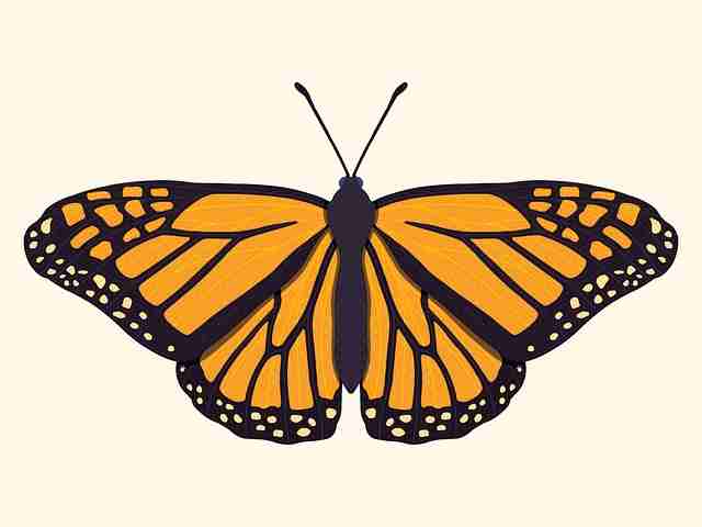 2024.08.26 黑料社官网#故事线#汇总#跨年#持续刷新